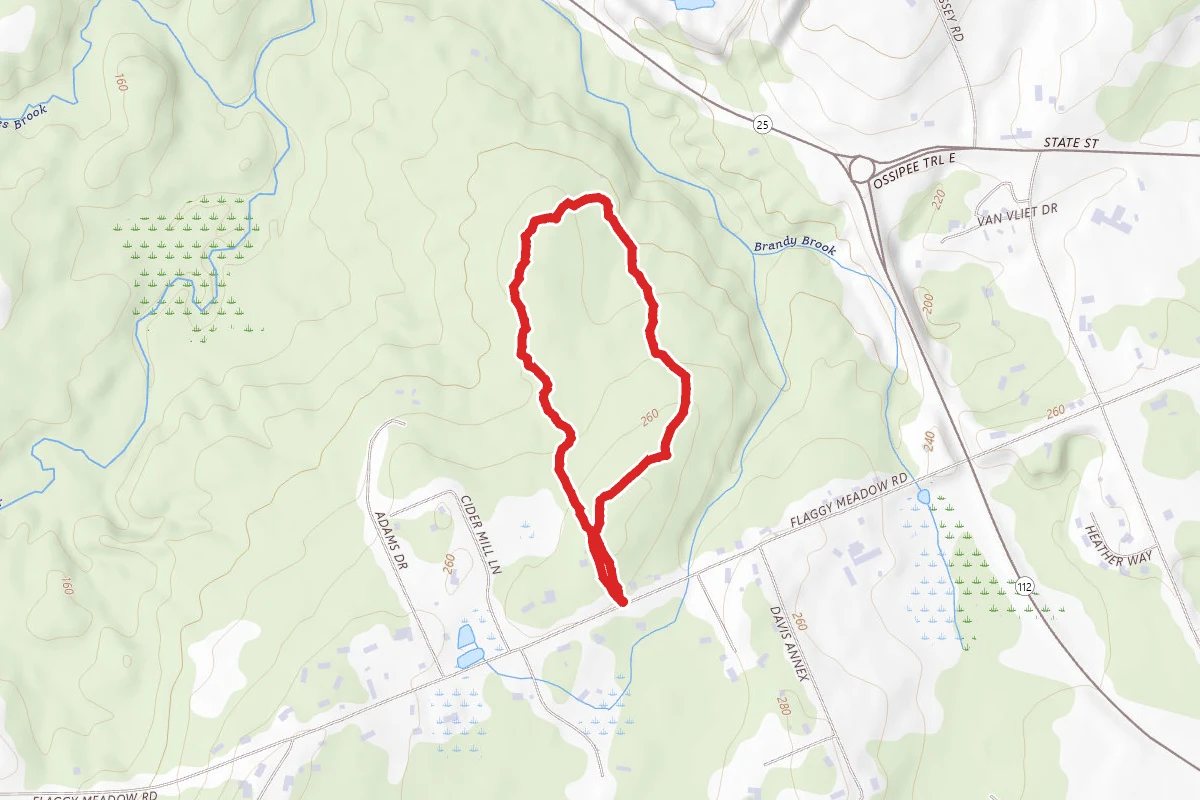 Nelson Preserve Trail Loop