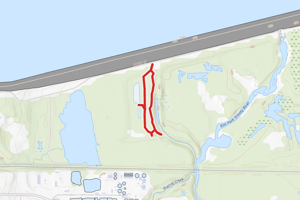 Cicada Trail