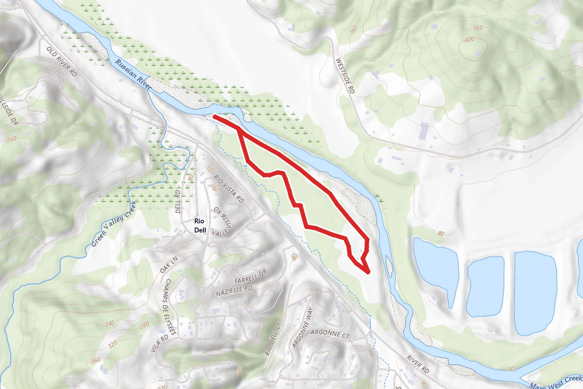 Steelhead Beach Loop