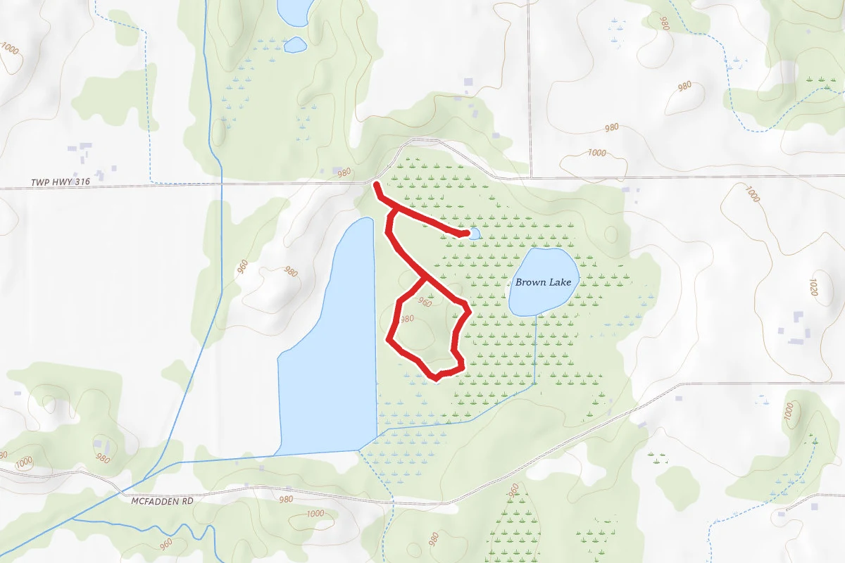 Brown's Lake Bog Trail