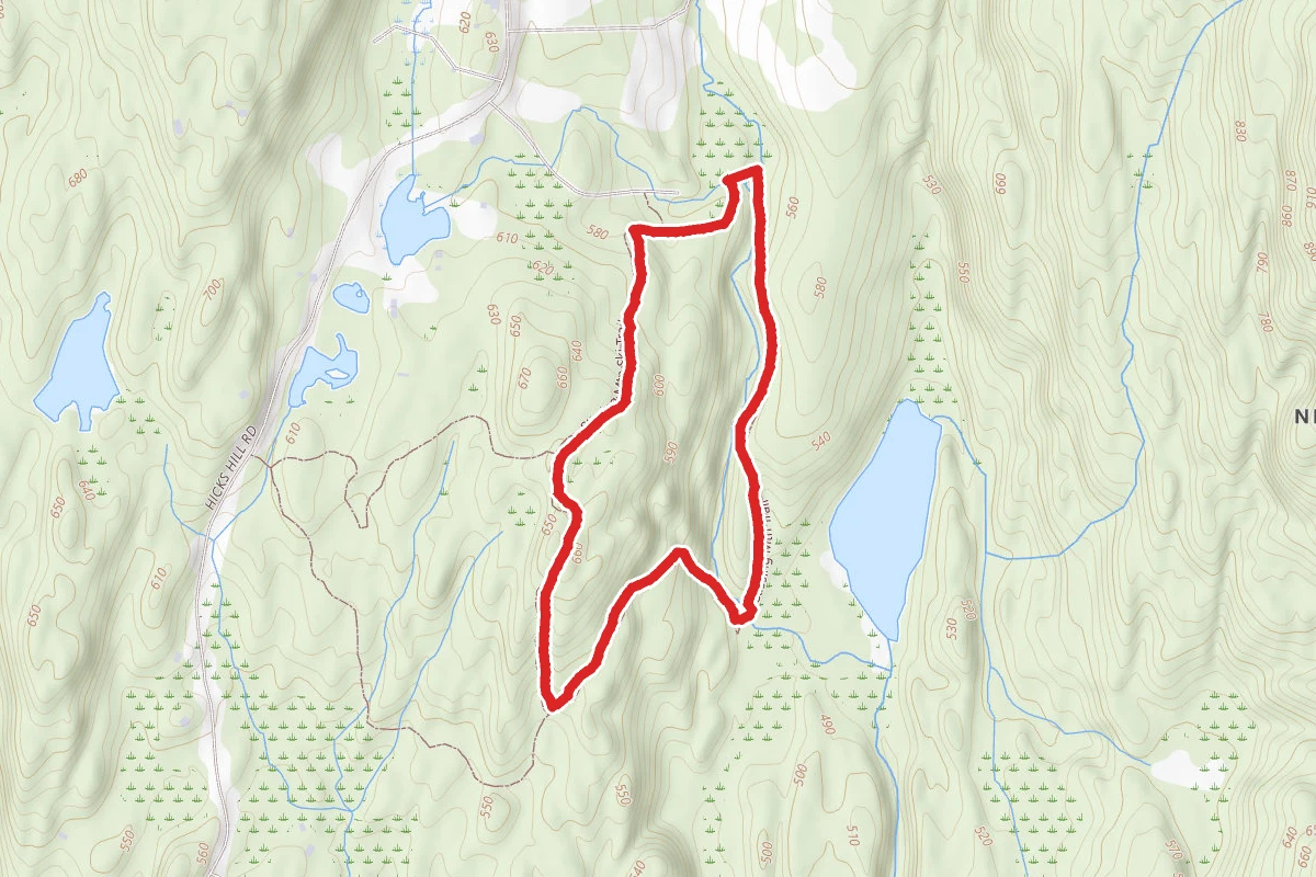 Stissing Mountain Northeast Loop