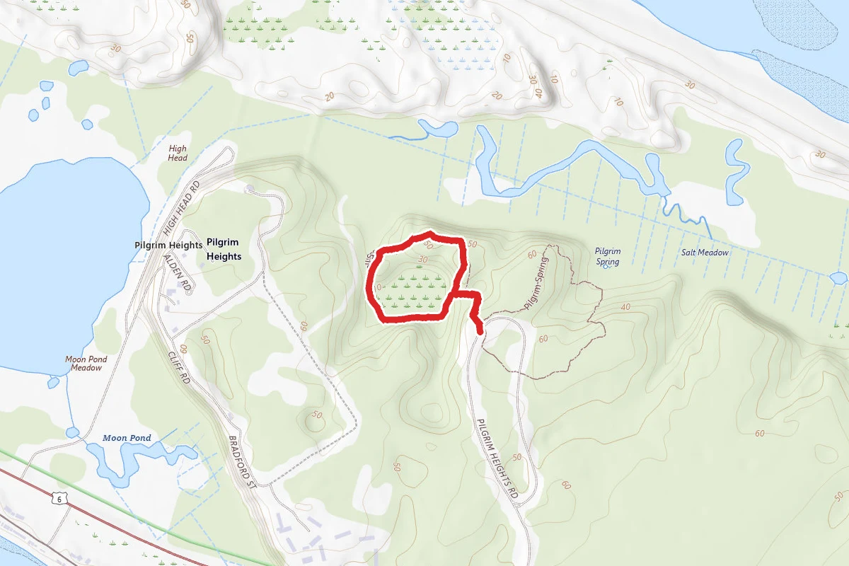 Small Swamp Trail