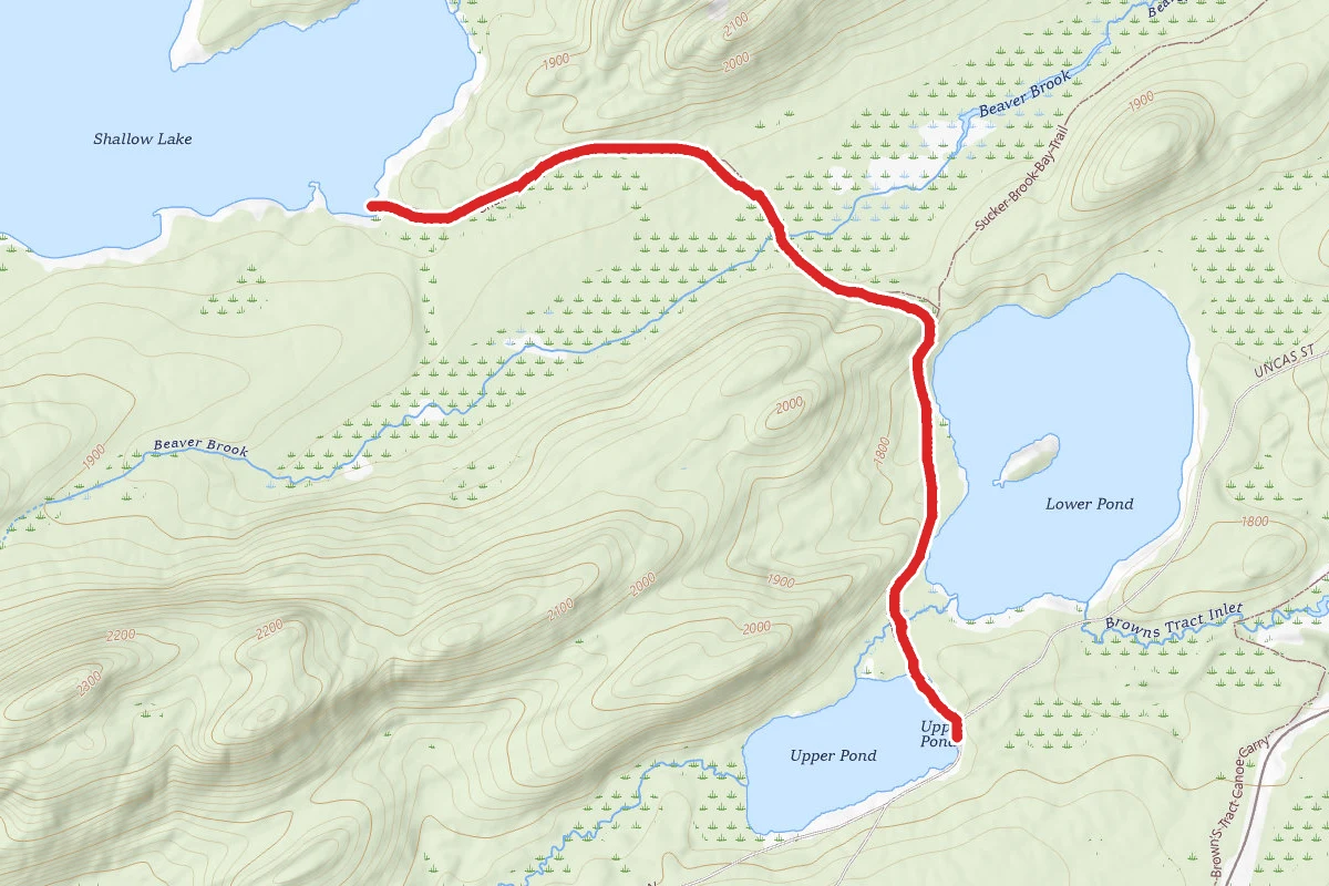 Brown Tract Pond to Shallow Lake