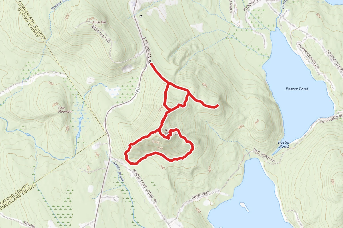 Bald Pate Mountain Trails