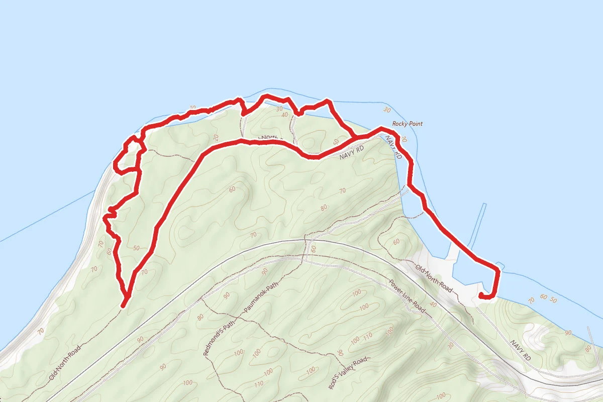 Hither Hills Coastal Trail and Old North Road Loop