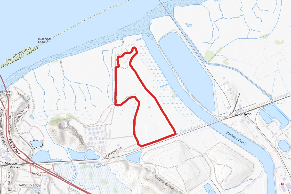 Pacheco Marsh Loop