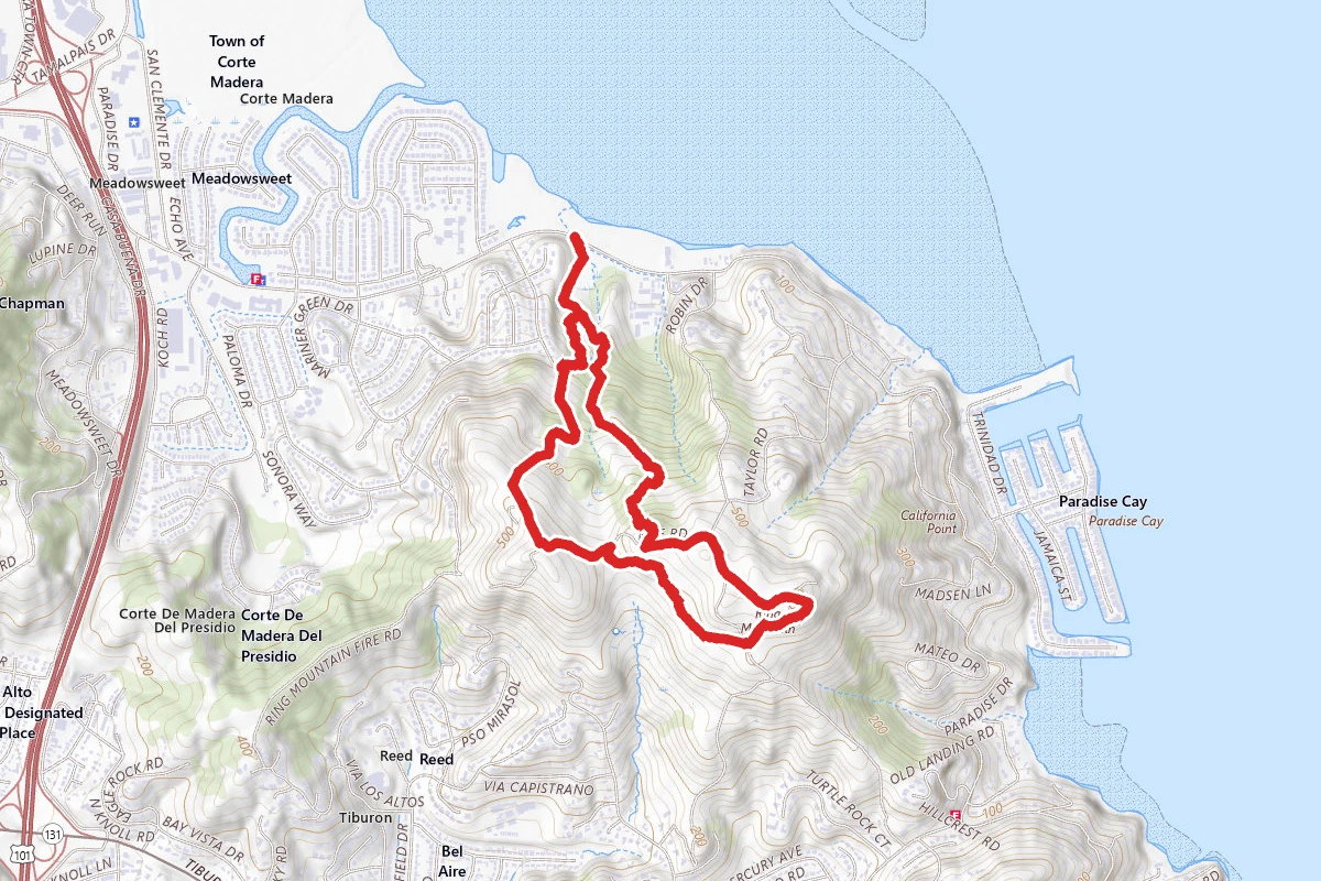 Ring Mountain via Loop and Phyllis Ellman Trail