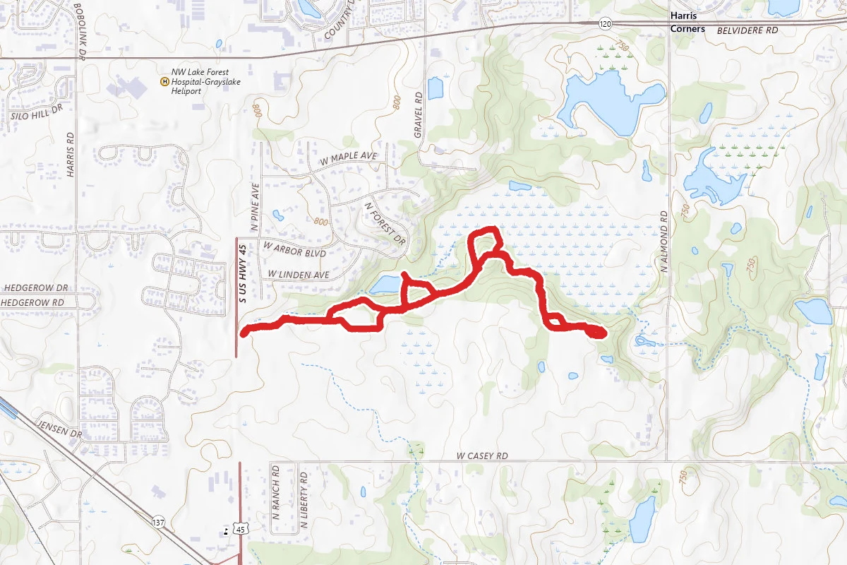 Almond Marsh Forest Preserve Loop