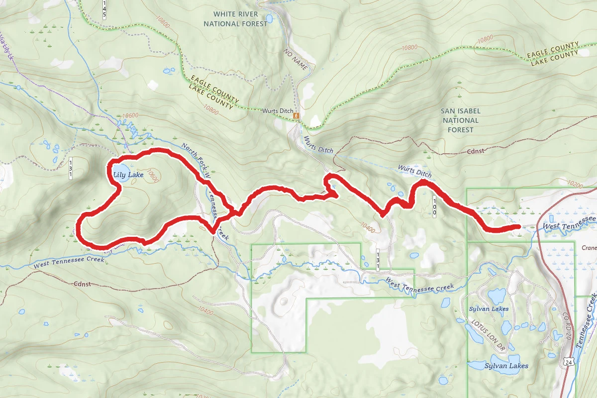 Lily Lake Loop