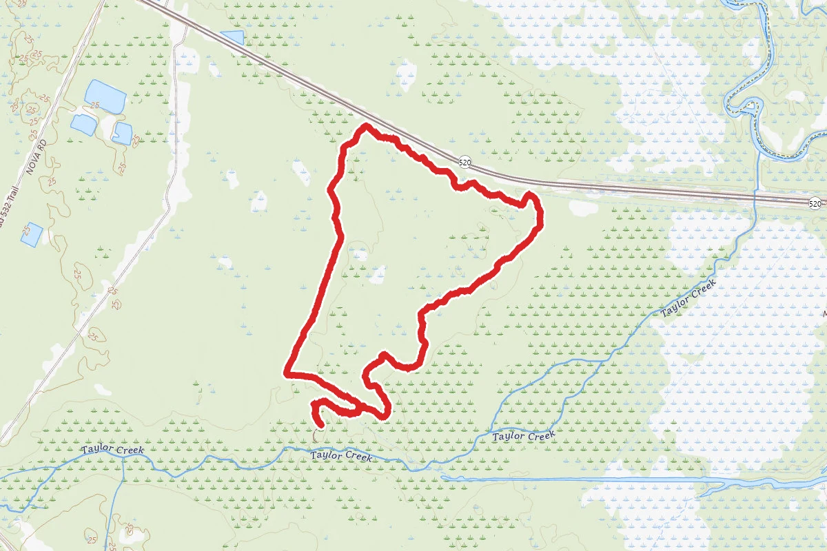 Tosohatchee Loop