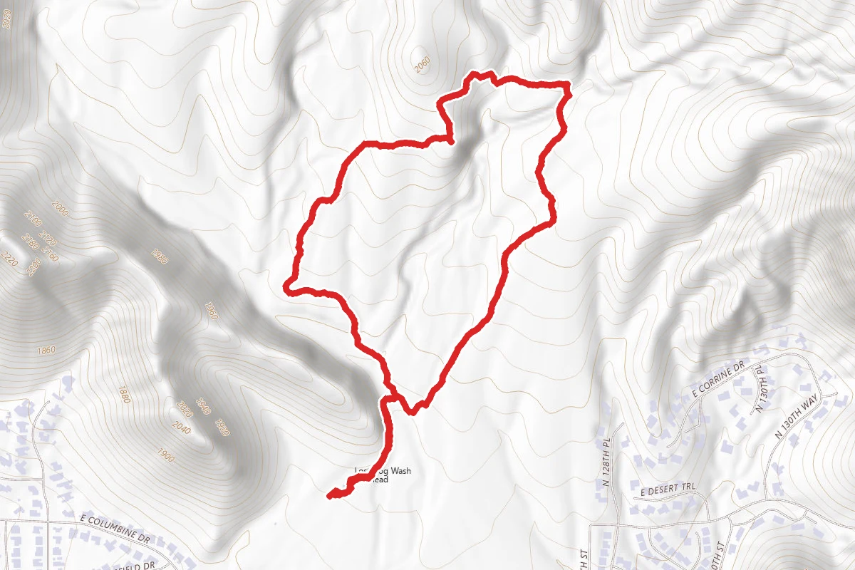 Ringtail Loop