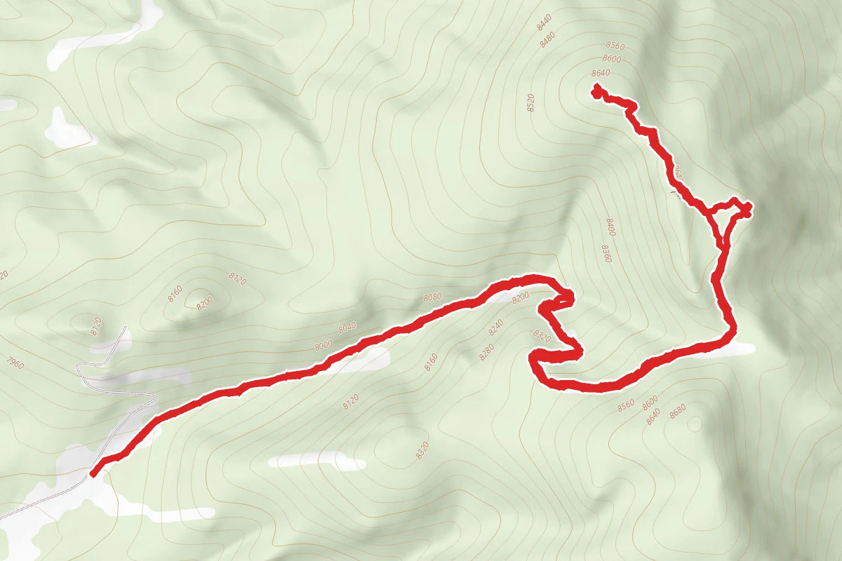 Guadalupe Mountain Trail