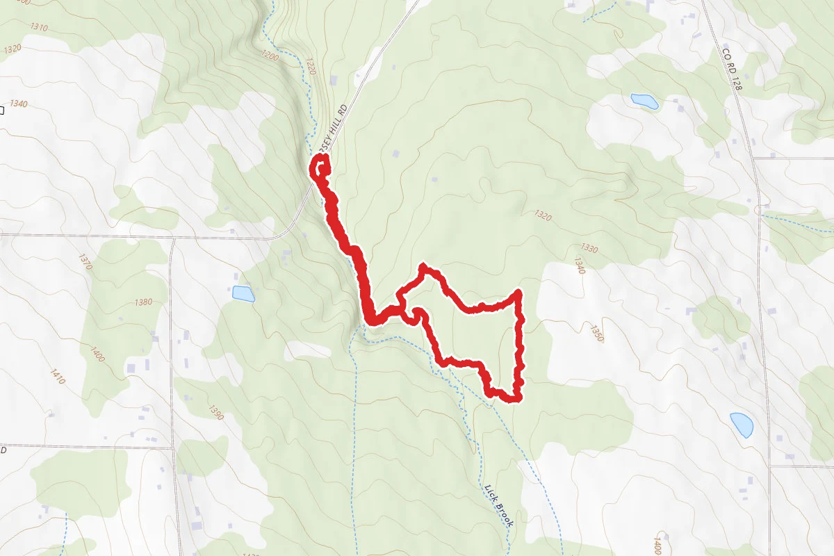 Kingsbury Woods Loop