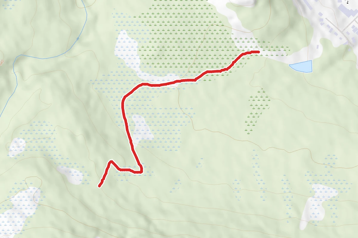 Gastineau Meadows To Treadwell Ditch Tral