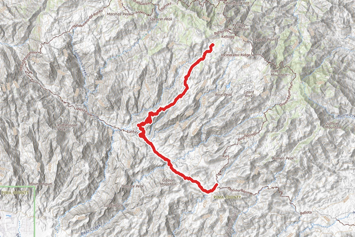 Palisades Trail FS #99