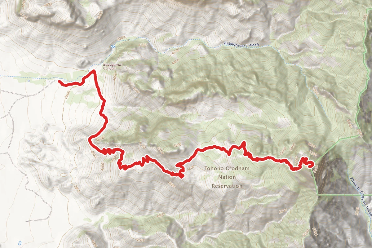 Baboquivari Peak via Summit Trail