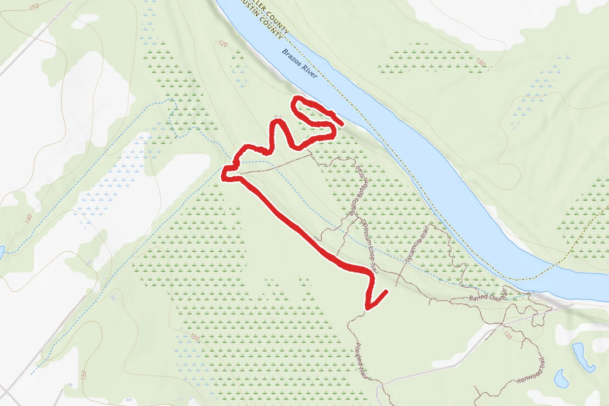 Copperhead Trail