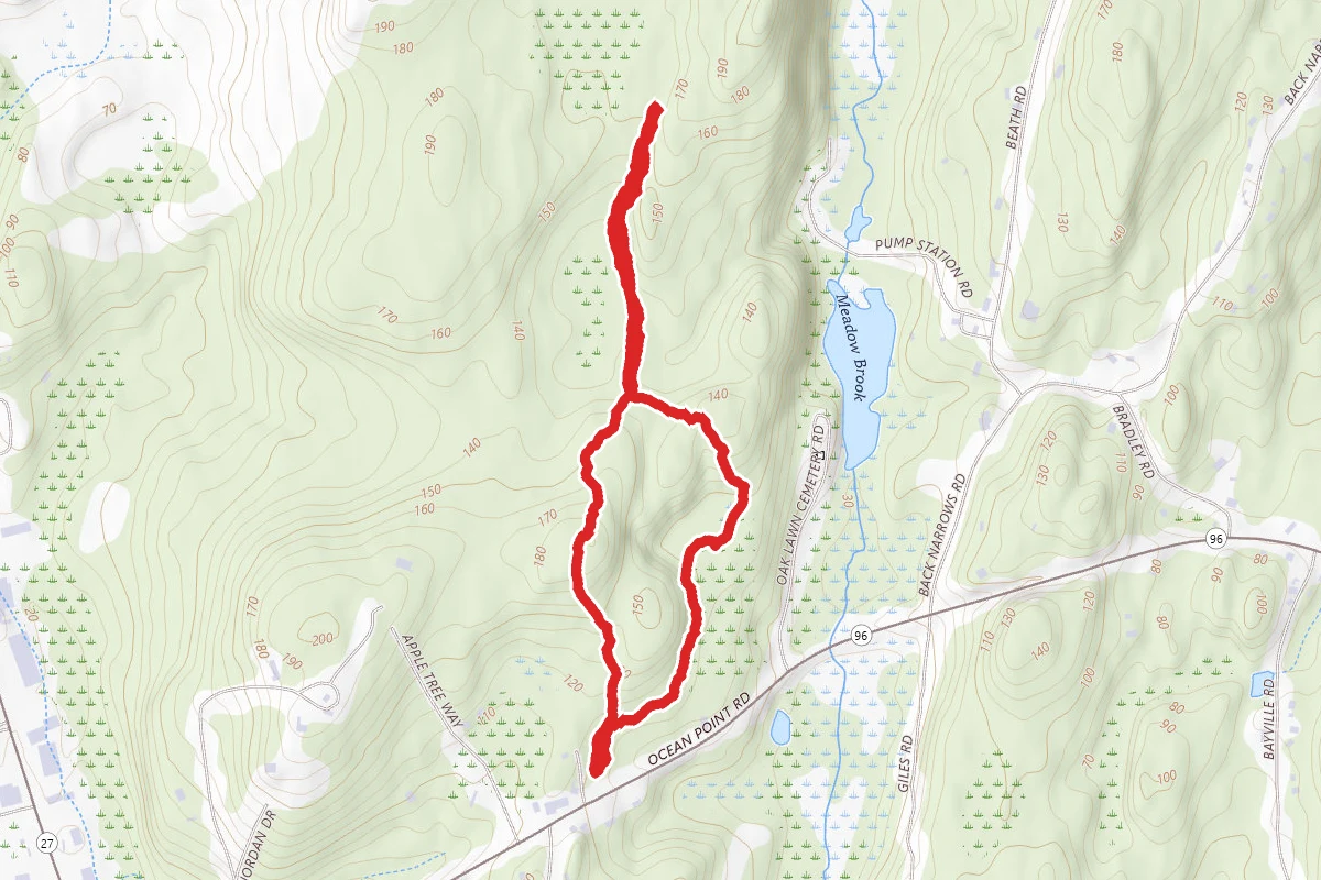 Pine Tree Preserve Loop