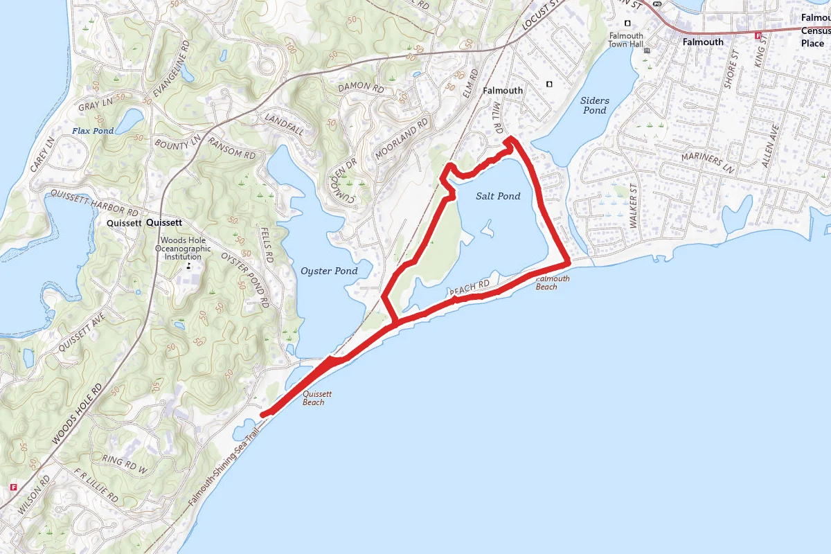 Salt Pond Loop
