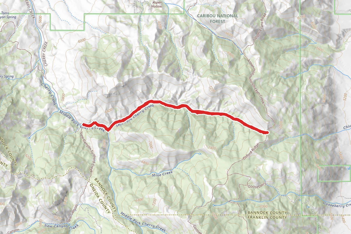Left Fork of Cherry Creek
