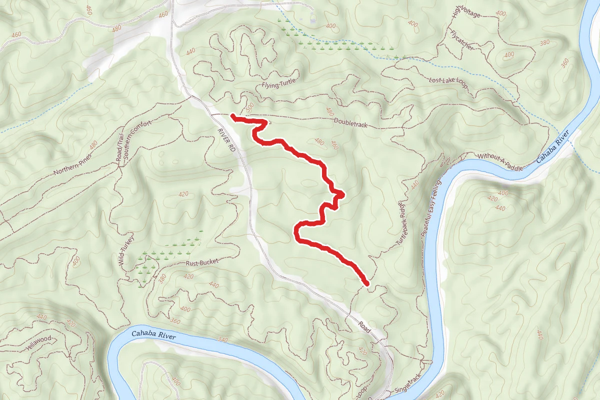 Flying Squirrel Trail