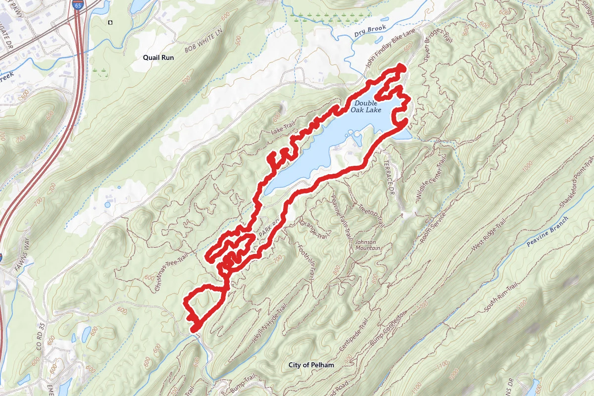Foreplay, Mr Toads and Lake Trail Loop