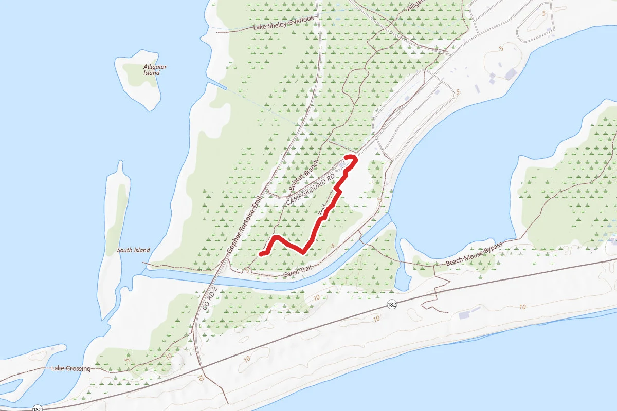 Sawgrass Trail