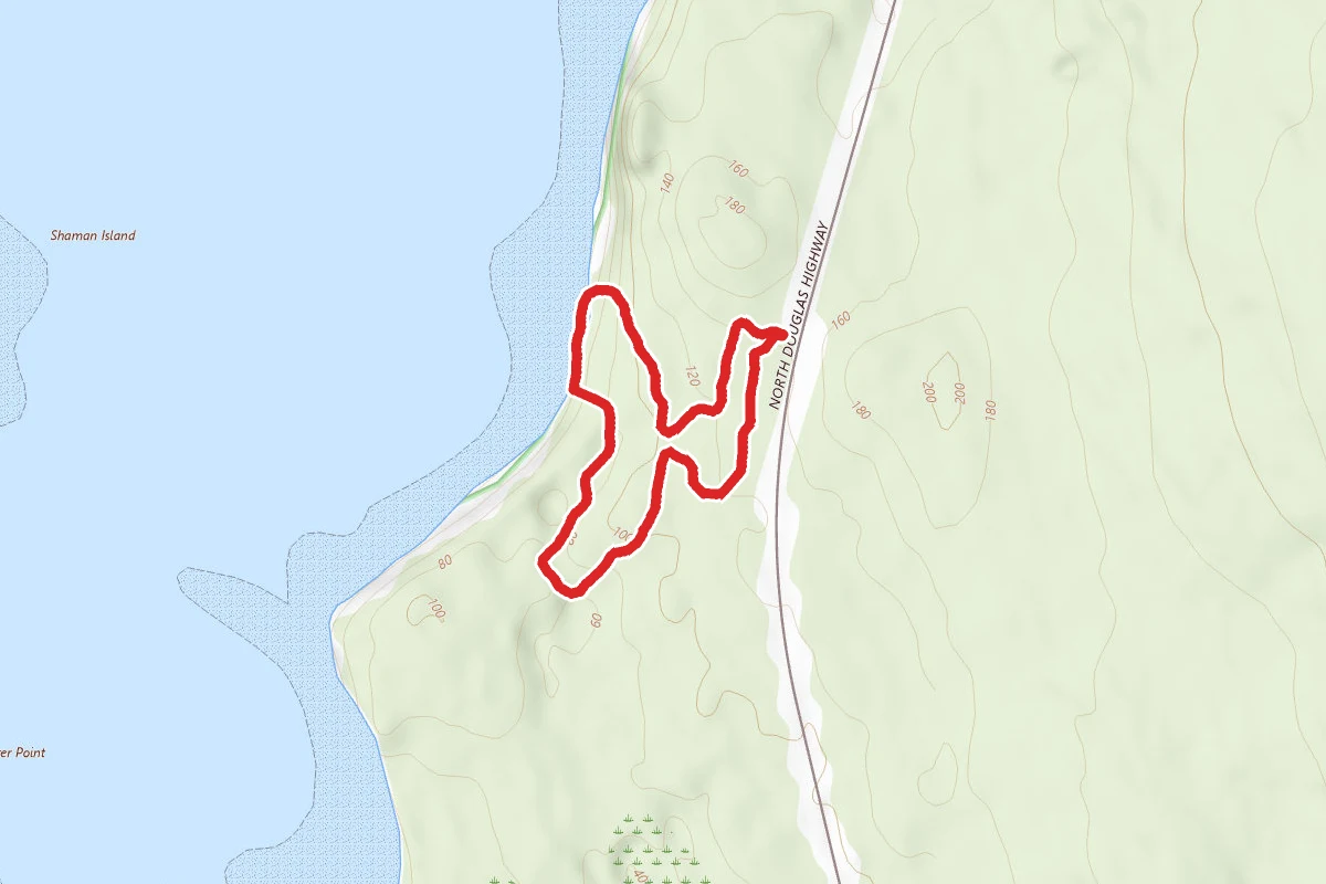 Rainforest Trail