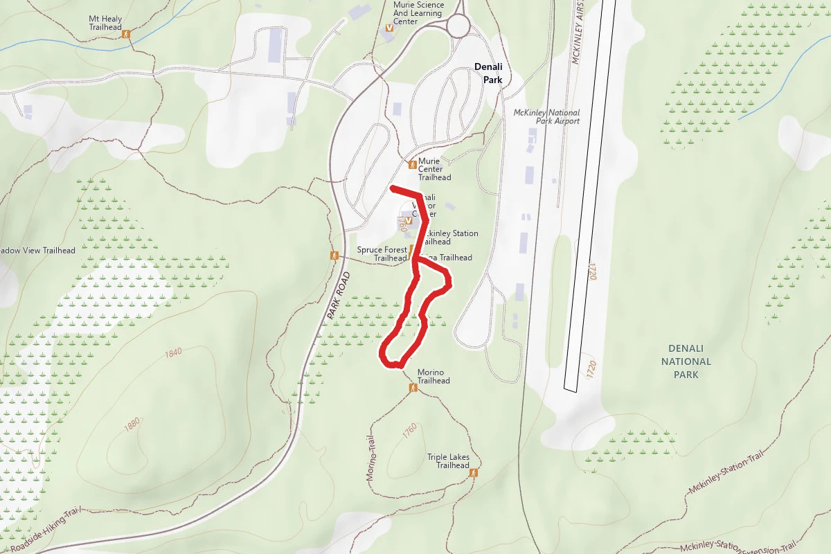 Spruce Tree Trail