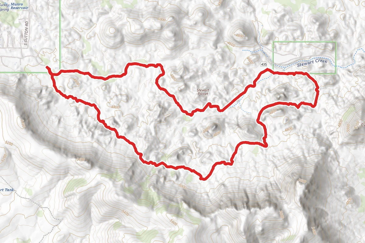 Stewart Pocket Loop