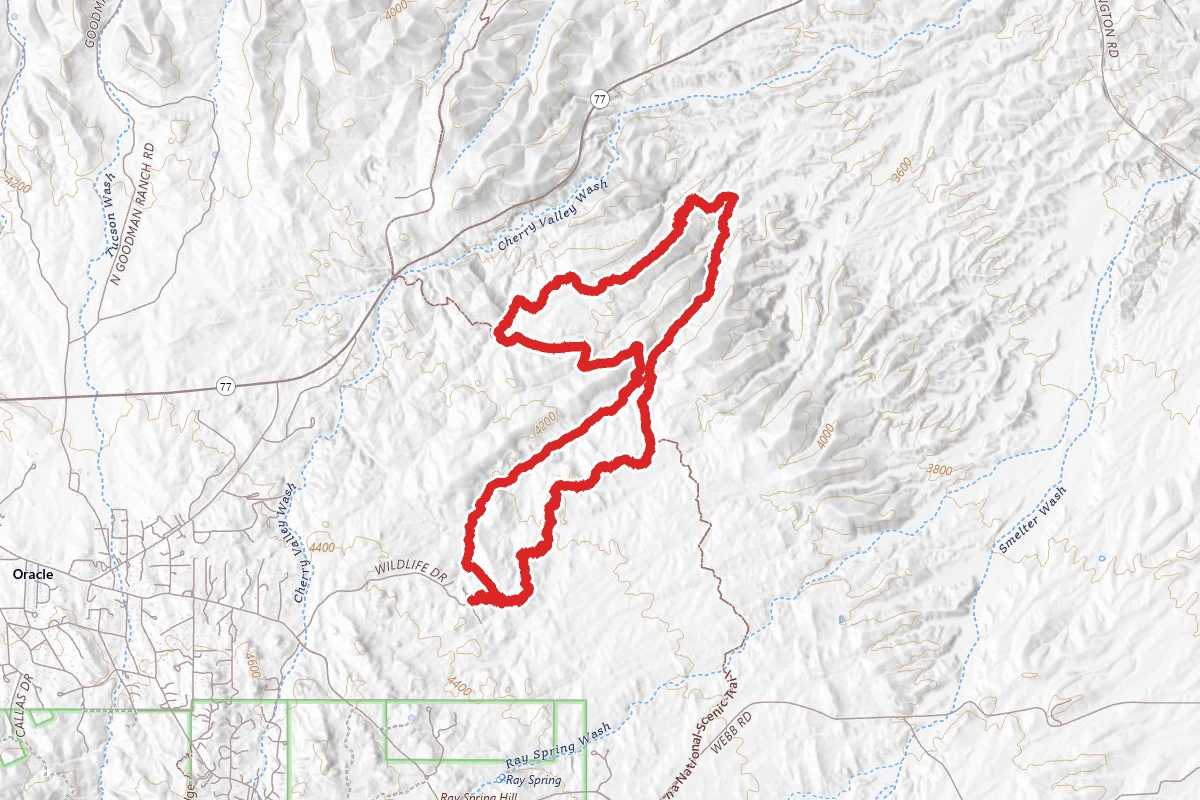 Windmill, Powerline and Kanally Wash Trail Loop
