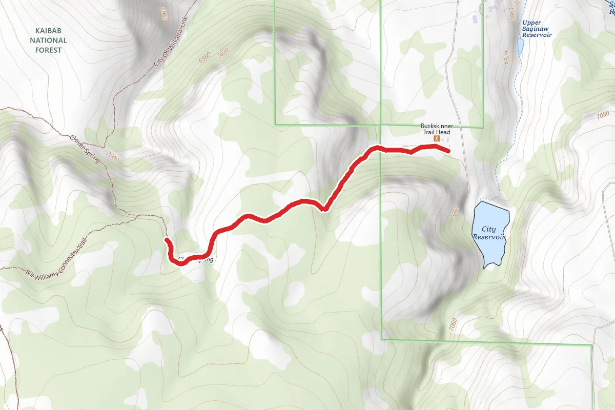 Buckskinner Trail