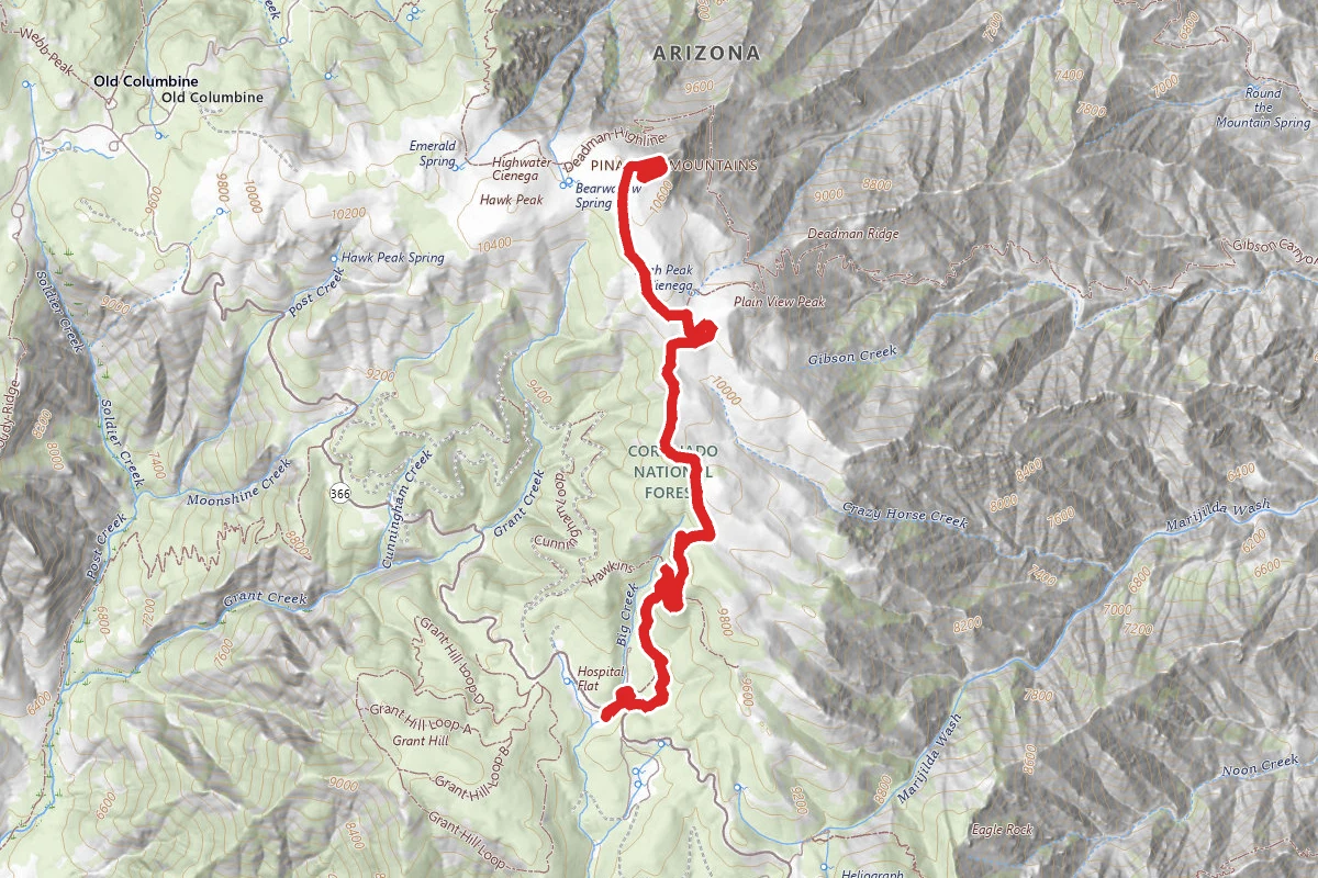 Mount Graham Trail