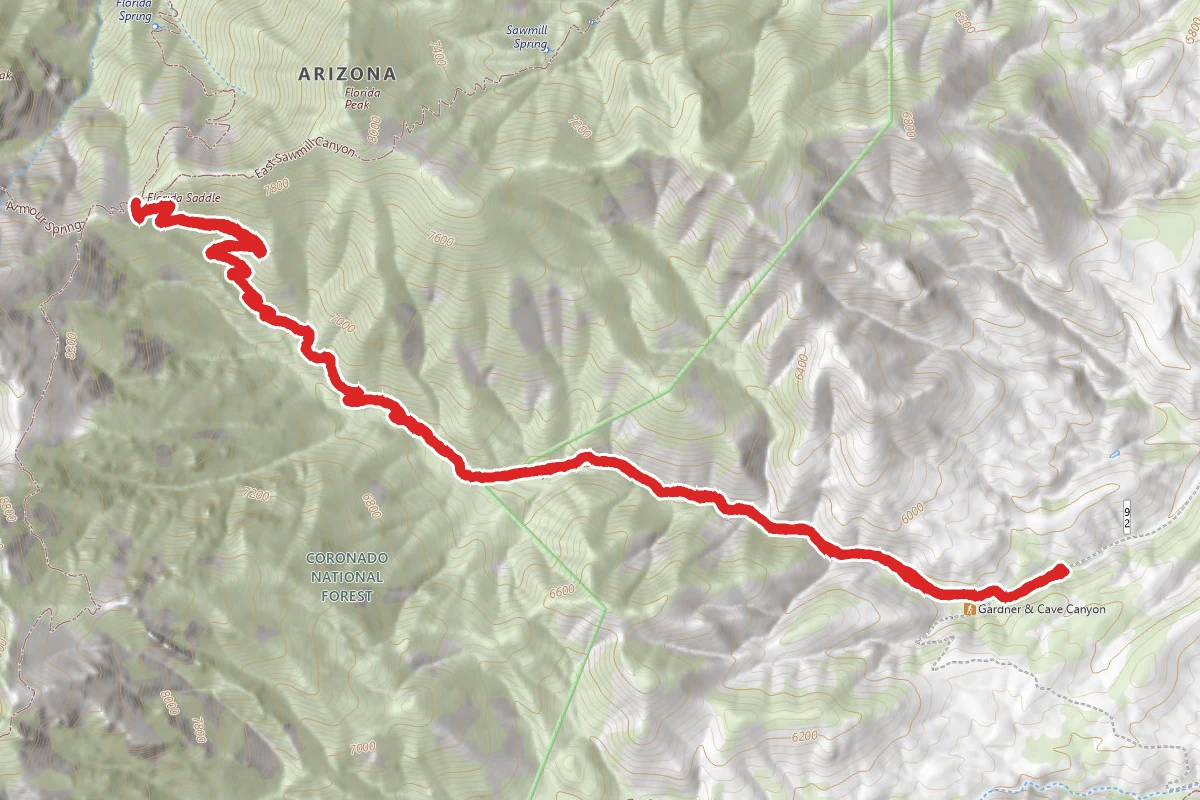 Cave Creek Canyon Trail #149
