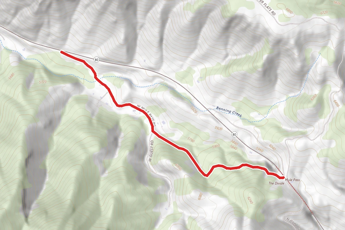 Mule Pass Road