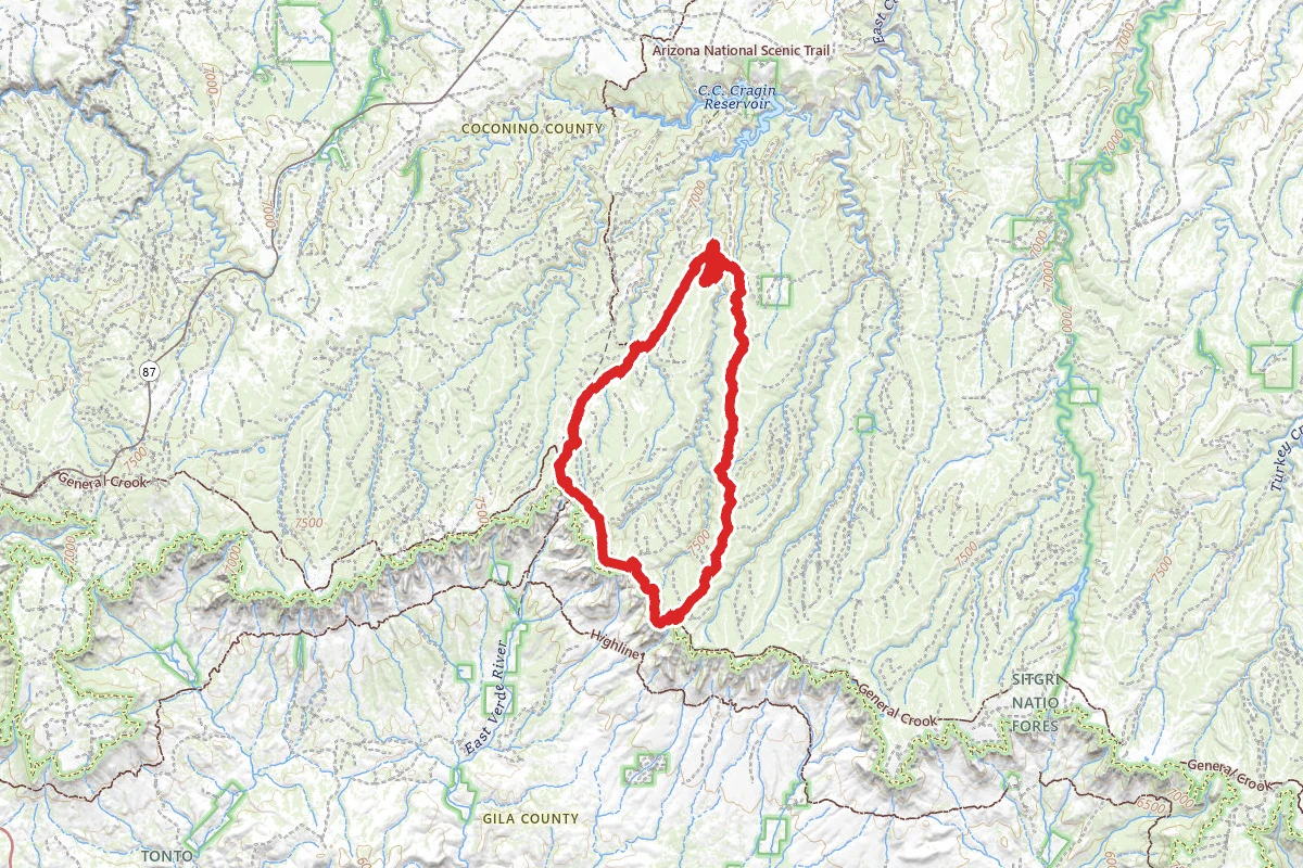 Fred Haught Trail, Houston Brothers Trail, Forest Road 300