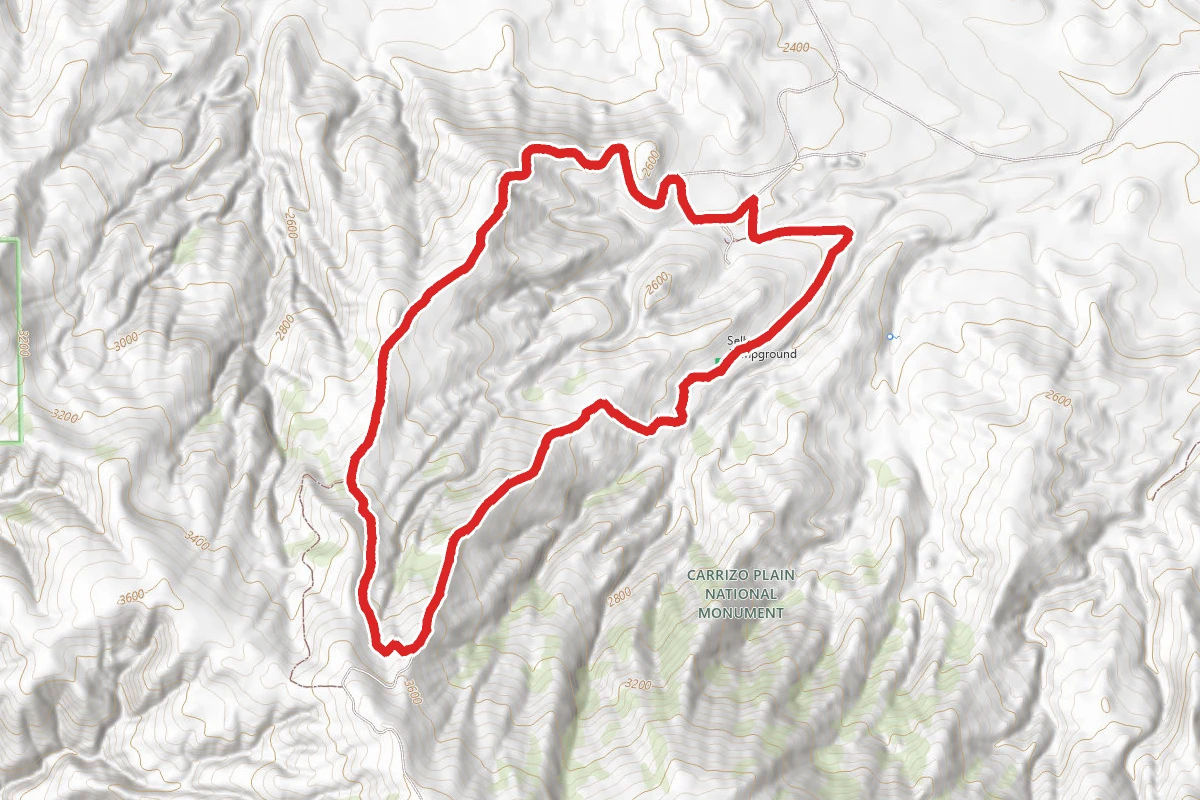 Selby Campground Loop Trail