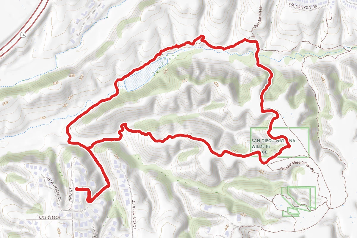 North Rim Trail, The Fire Road, and Vernal Pool Loop