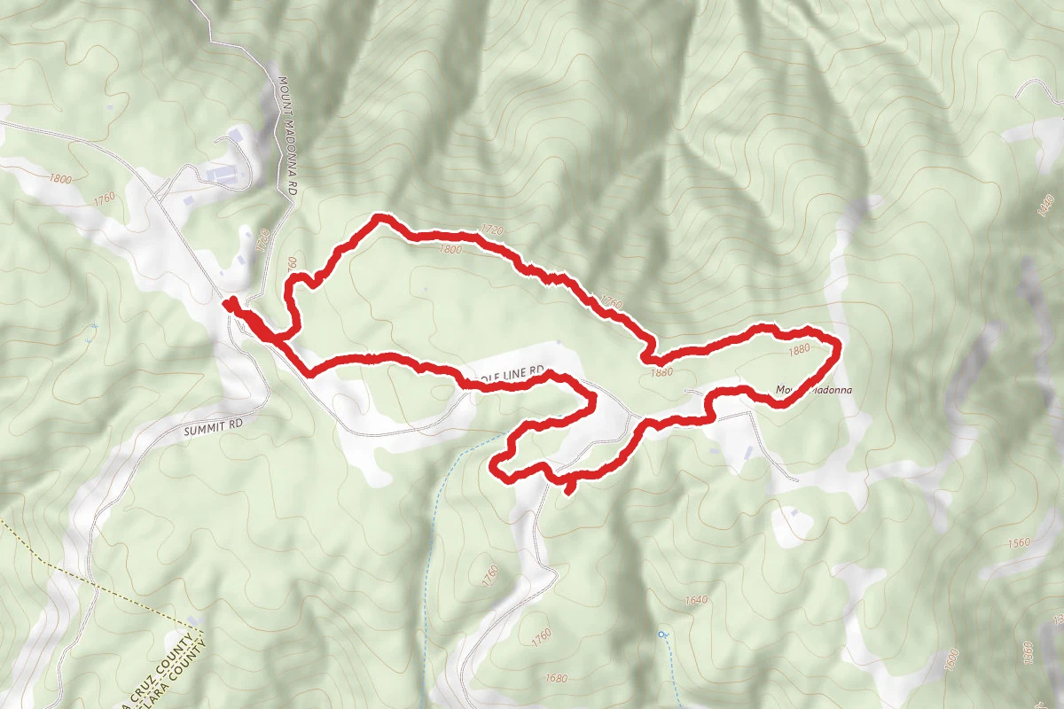 Tan Oak Trail, Upper Miller Trail, and Meadow Loop