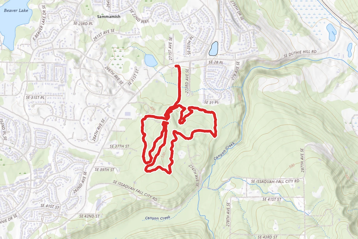 Duthie Mountain Bike Park Loop