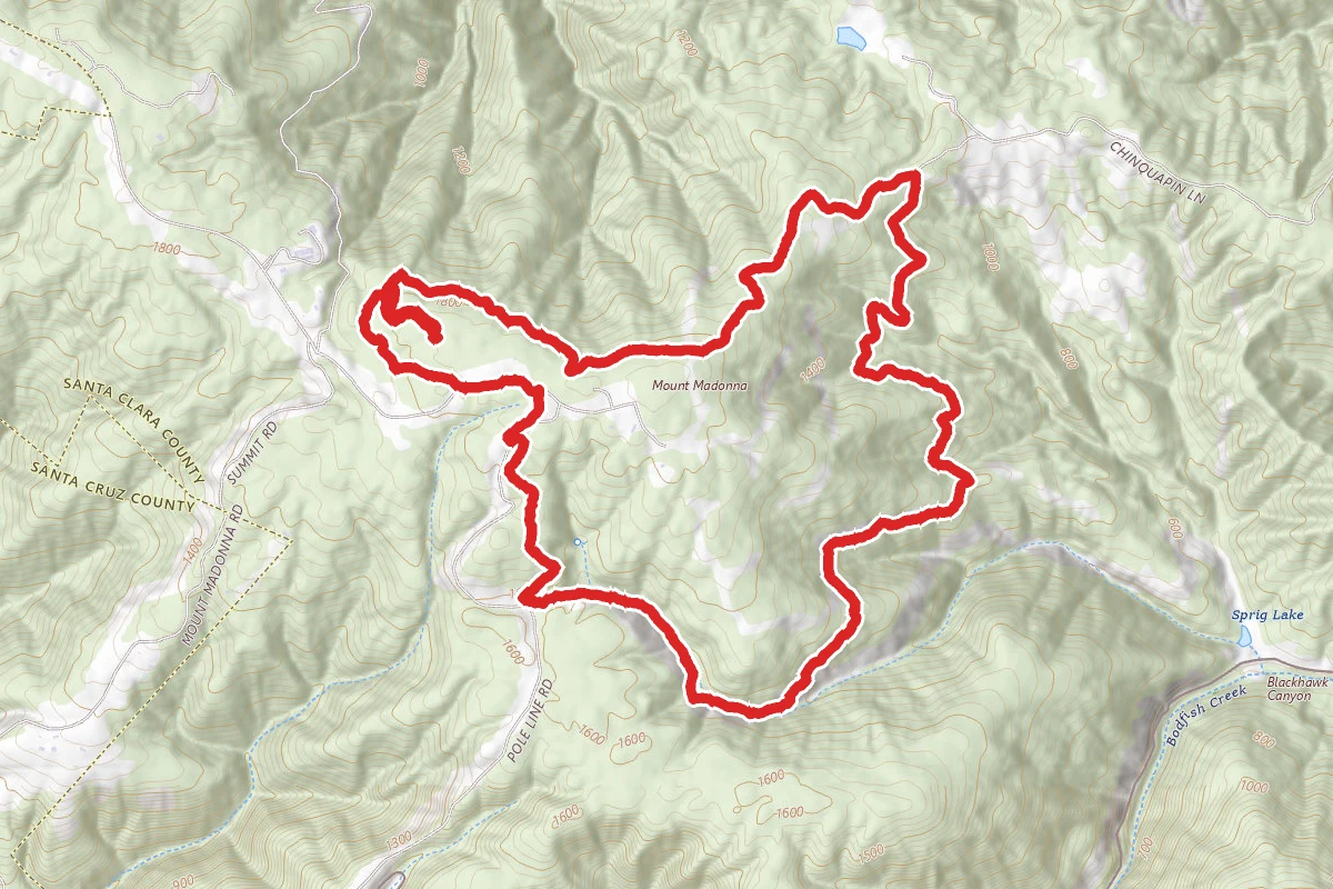 Tan Oak, Camp Trail, Ridge Trail, Blackhawk, Meadow Trail Loop
