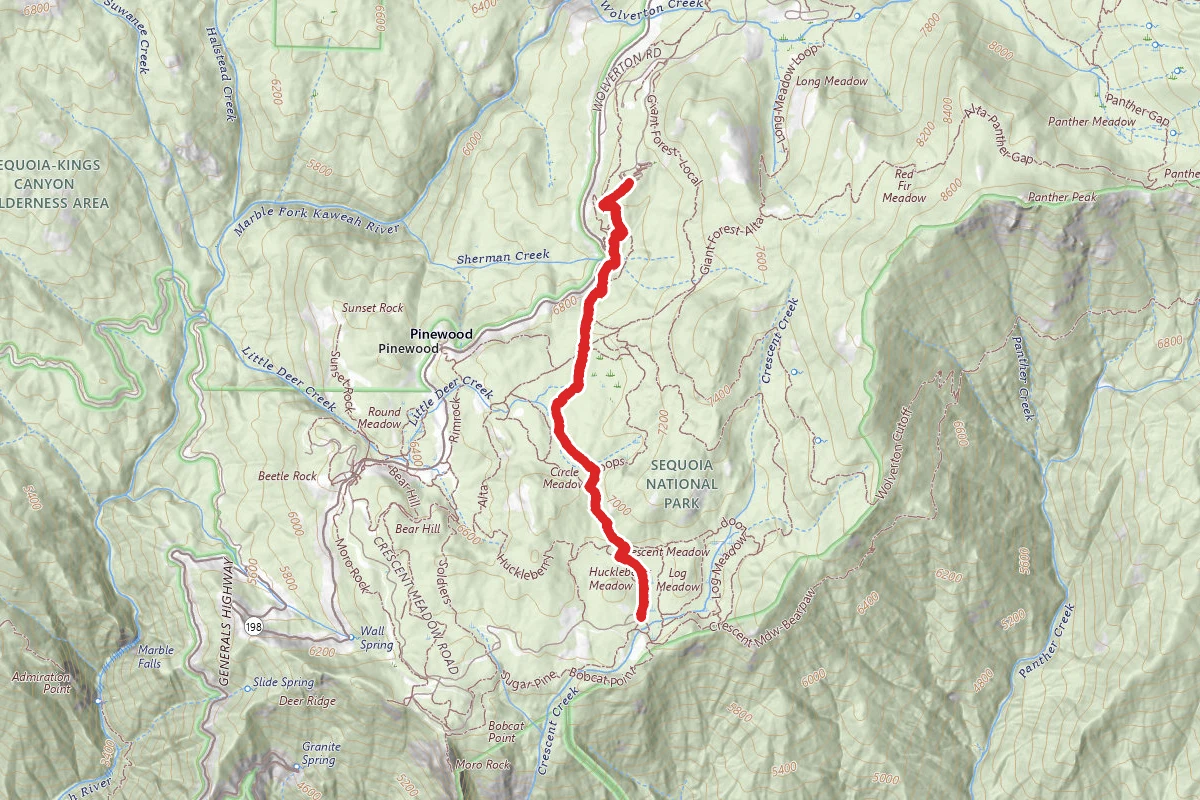 Huckleberry Meadow Trail