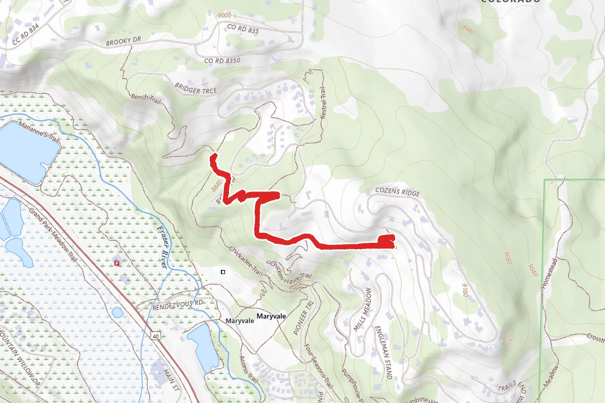 Hawk Trail