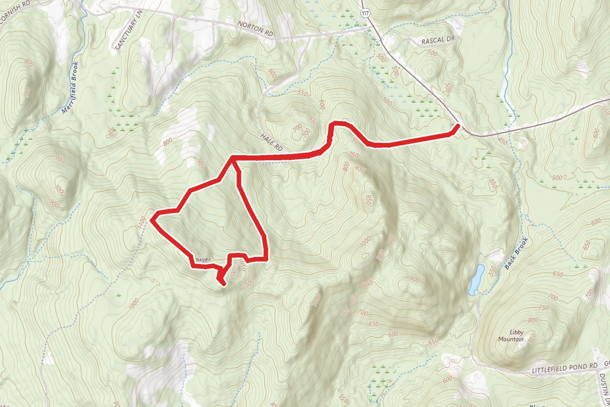 Sawyer Mountain Trail
