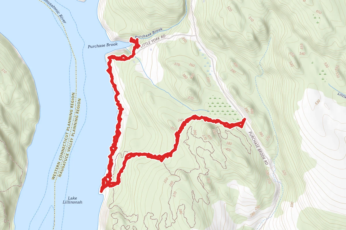 Waldo to Town Park