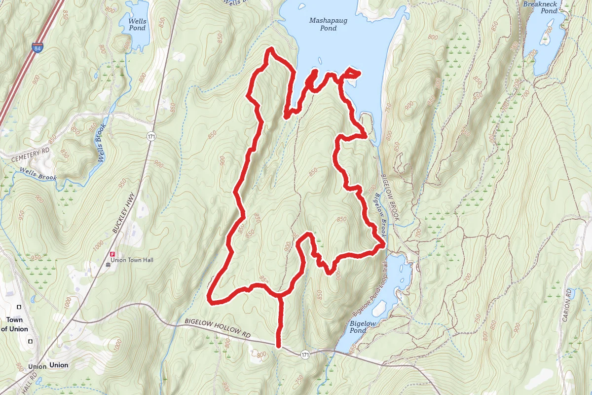 Mashapaug Pond View Trail