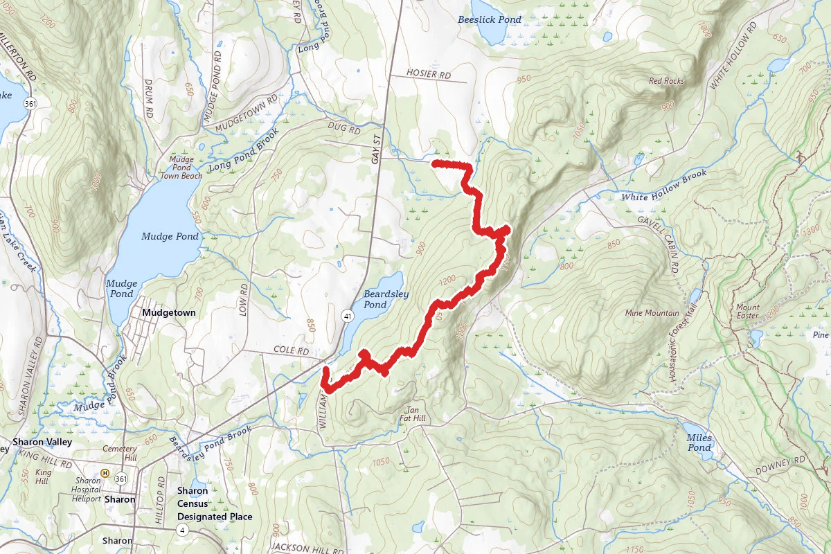 Hamlin Bear and Red Mountain Trail