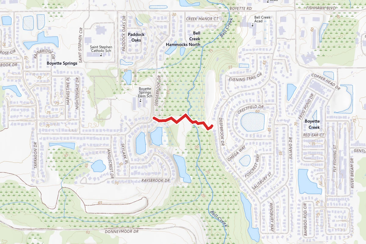 Boyette Springs Park Trail