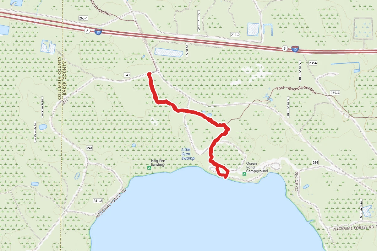 Ocean Pond via Florida Trail