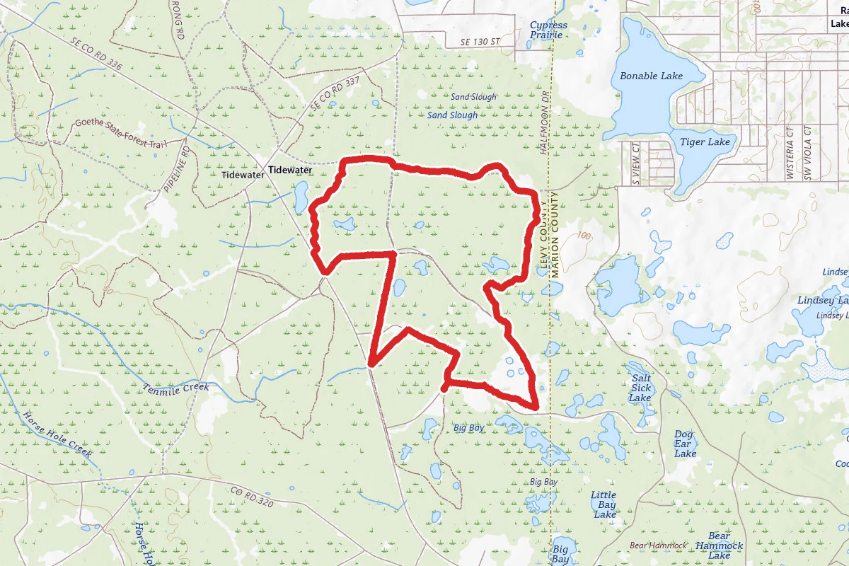 Tidewater Purple Loop